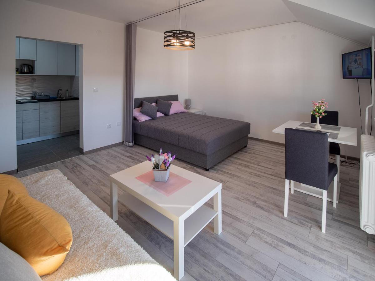 Apartman Sara Διαμέρισμα Νόβι Σαντ Εξωτερικό φωτογραφία